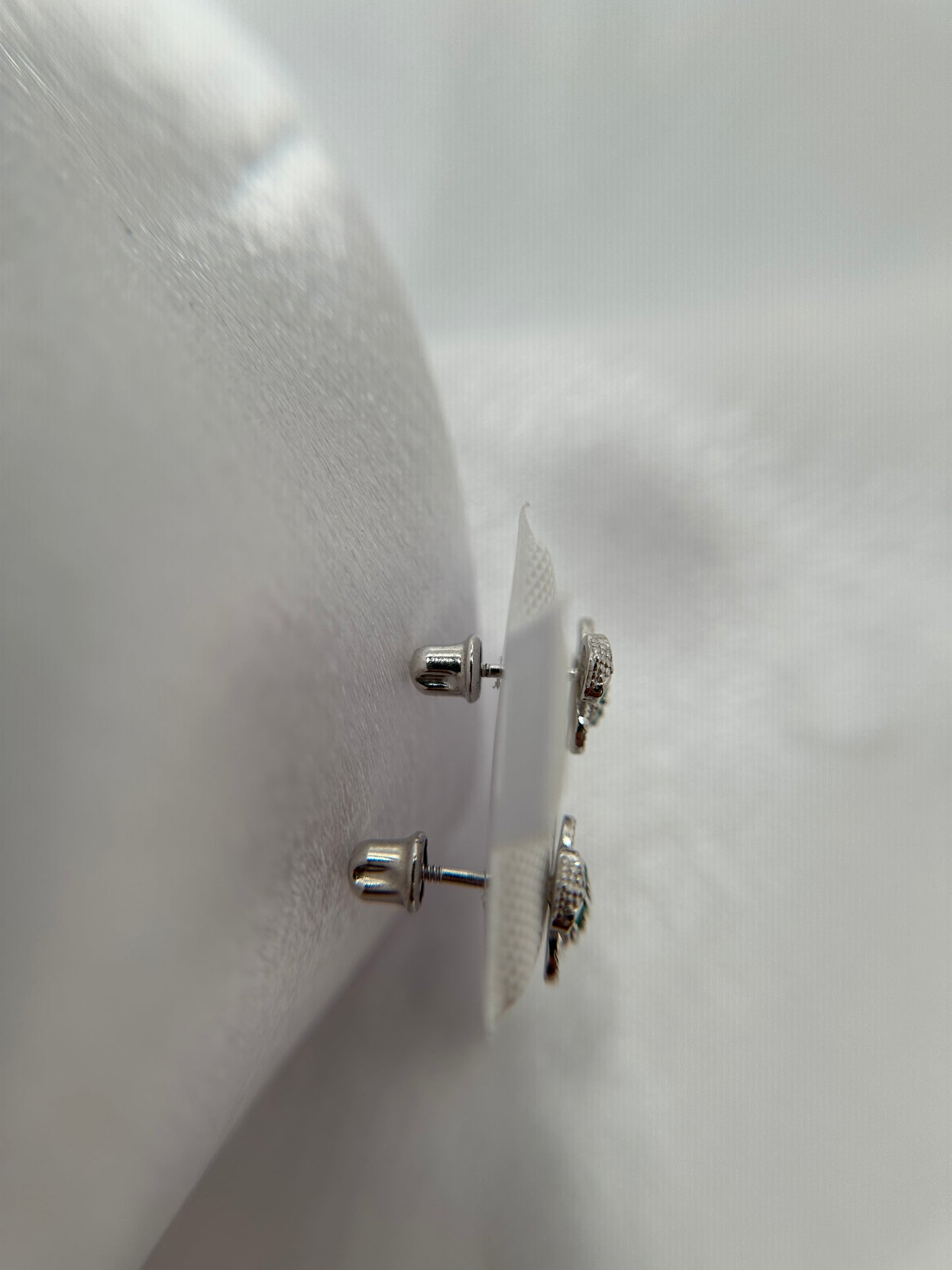 Silver Turtle Earrings