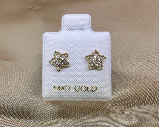 14K Gold Star Earrings